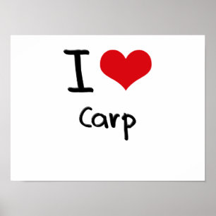 Póster Me encanta Carp