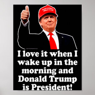 Póster Me encanta cuando Donald Trump es presidente 2024 