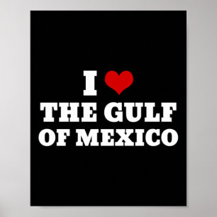 Póster Me Encanta El Golfo De México Estados Unidos Meme 