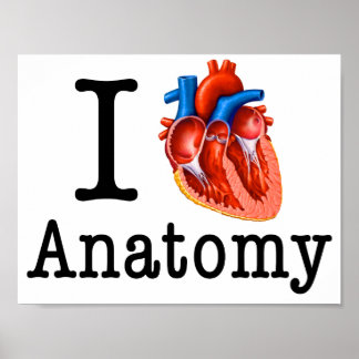 Póster Me encanta la anatomía