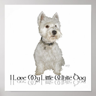 Póster Me Encanta Mi Perro Blanco Pequeño - Westie