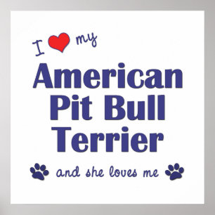 Póster Me Encanta Mi Terrier De Toros De Pozo Americano (