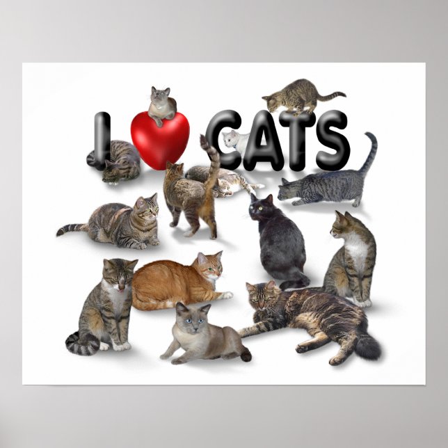 Póster Me encantan los gatos (Frente)