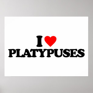 PÓSTER ME ENCANTAN LOS PLATIPOS