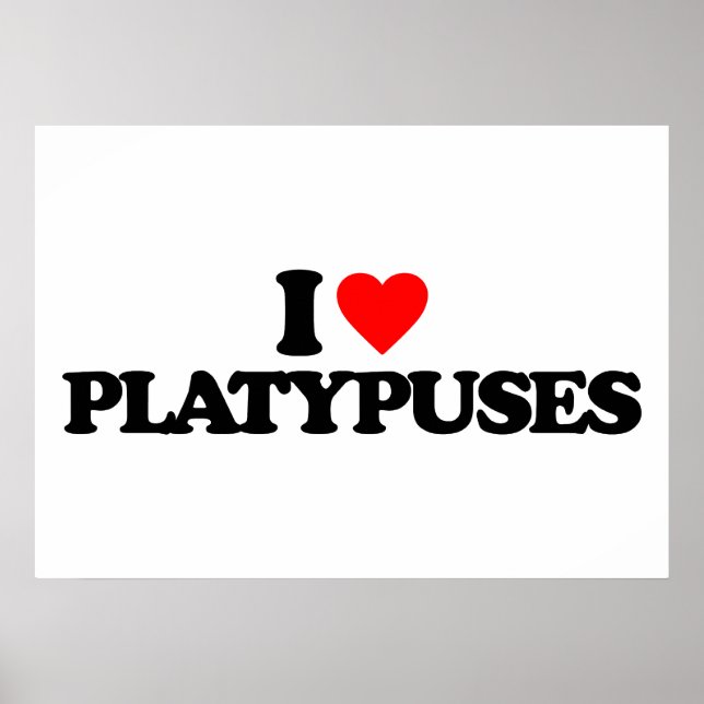 PÓSTER ME ENCANTAN LOS PLATIPOS (Frente)