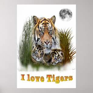 Póster Me encantan los tigres