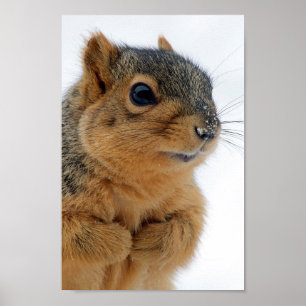 Póster ¿Me estás hablando?