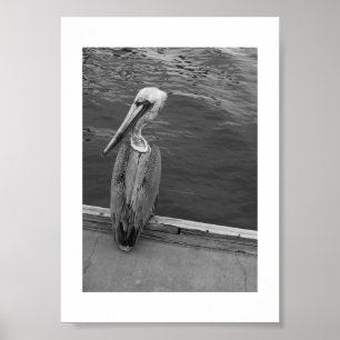 Póster ¿Me estás mirando la fotografía en blanco y negro?