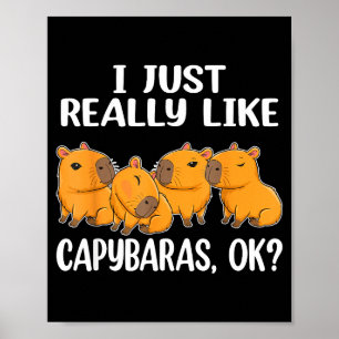 Póster Me gusta mucho los carpinchos Ok Carpincho Animal