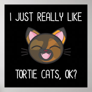 Póster Me Gustan Los Gatos De Tortitas. Tortoisse