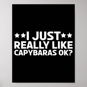Póster Me gustan mucho los carpinchos Ok Carpincho Roedor