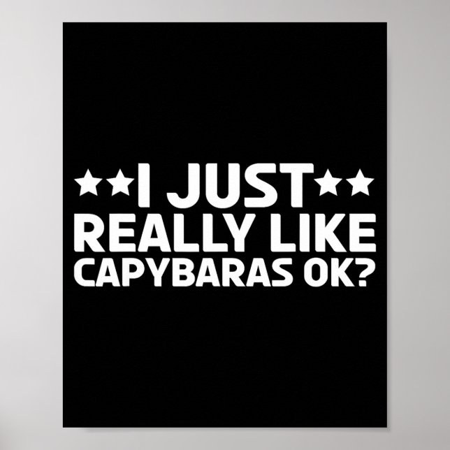 Póster Me gustan mucho los carpinchos Ok Carpincho Roedor (Frente)