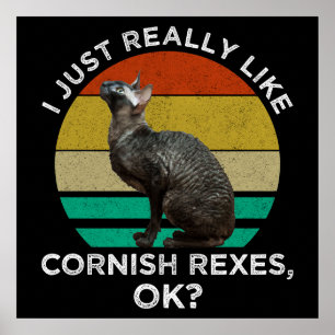 Póster Me Gustan Mucho los Cornish Rex, ¡OK?