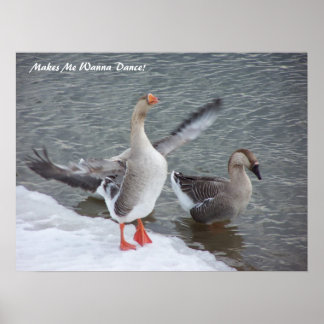 Póster ¡Me Hace Querer Bailar!