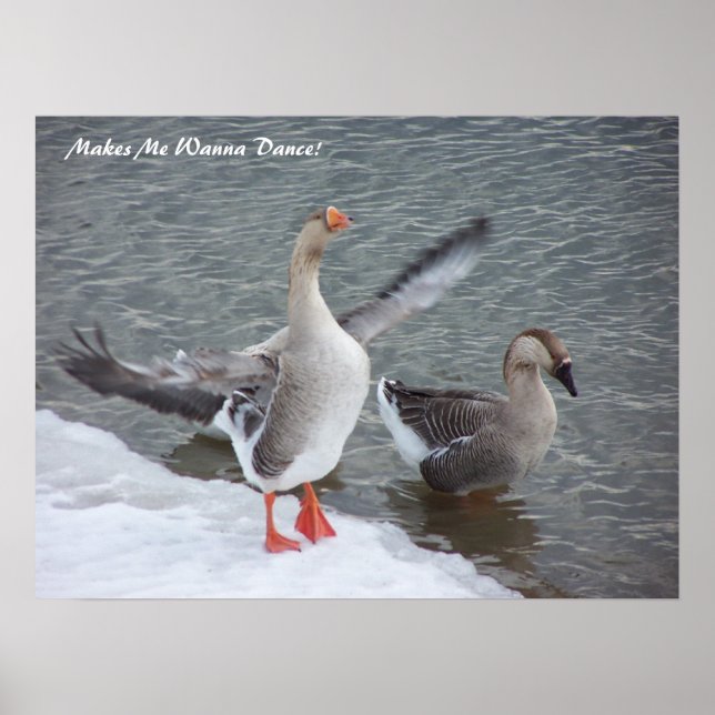 Póster ¡Me Hace Querer Bailar! (Frente)