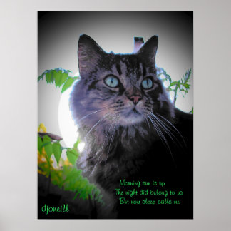 Póster Me llama el sueño