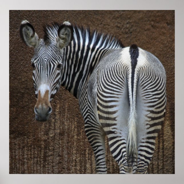 Póster ¿Me Miras? (Frente)