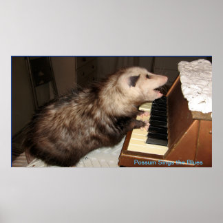 Póster ME Pearl Possum Poster