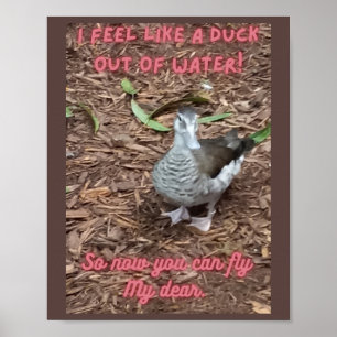 Póster Me siento como un pato fuera del agua inspirador