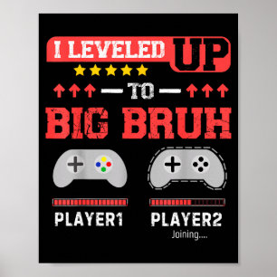 Póster Me Subí De Nivel A Gran Hermano Gamer Divertido He