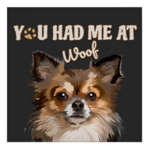 Póster Me Tenías En Woof   Perros Pomerania