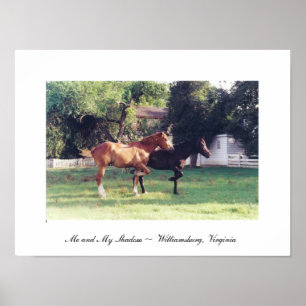 Póster ME Y MI SOMBRA - lienzo