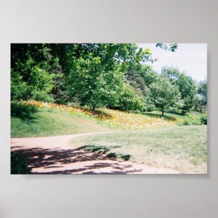 Póster Meadow
