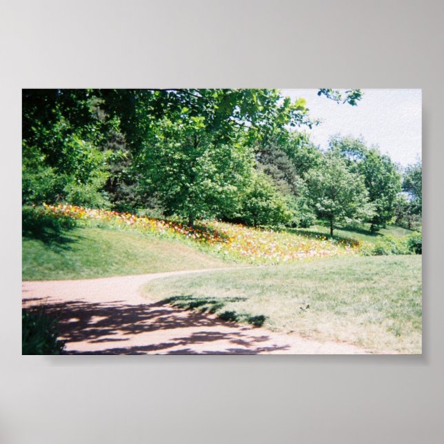 Póster Meadow (Frente)