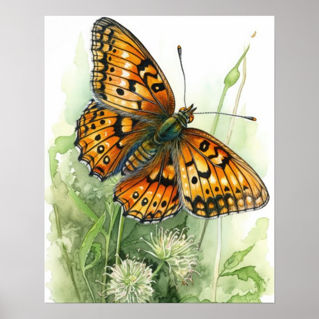 Póster Meadow Fritillary Butterfly Art Print Poster (Frente)