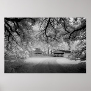 Póster Meadowbank Farm