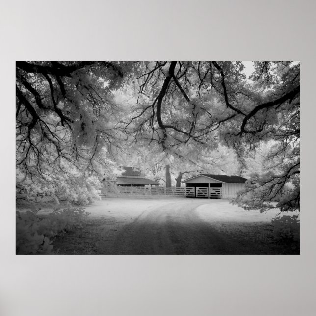 Póster Meadowbank Farm (Frente)