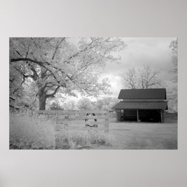 Póster Meadowbank Farm (Frente)