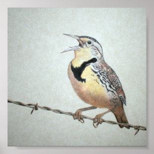 Póster Meadowlark