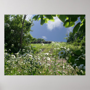 Póster Meadows de Kansas y Flores Silvestres