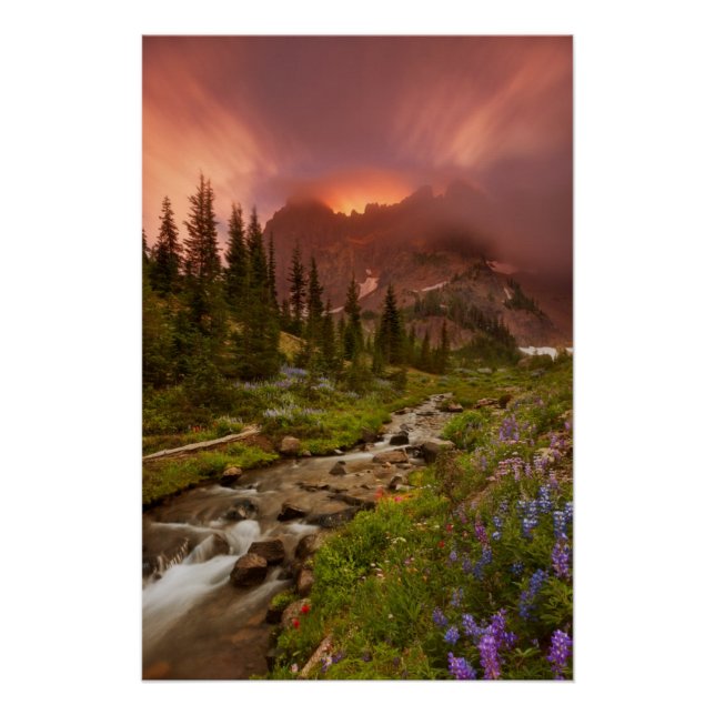 Póster Meadows encantados (Anverso)