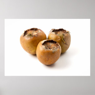 Póster Medalla común