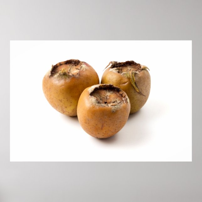 Póster Medalla común (Frente)