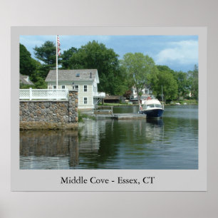 Póster Media Cove