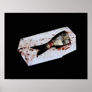 Póster Media Pesca