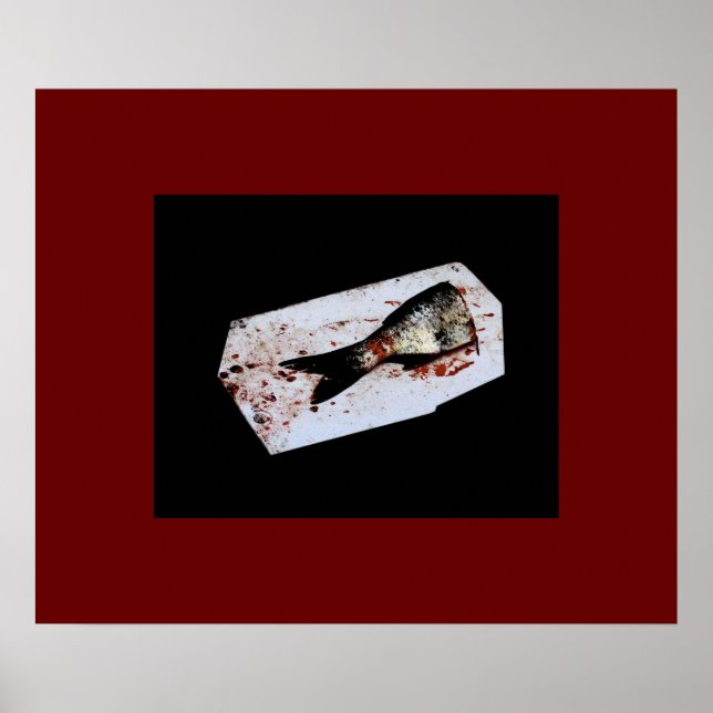 Póster Media Pesca (Frente)