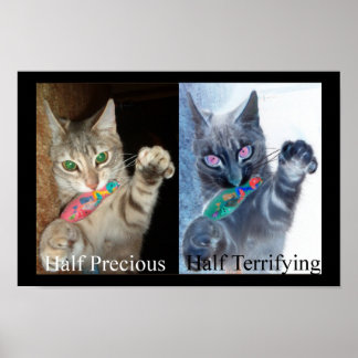 Póster Media y media