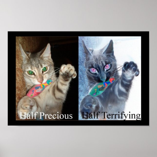 Póster Media y media (Frente)