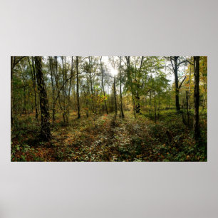 Póster Mediados de otoño,