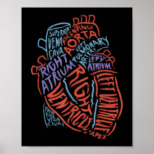 Póster Médica de Anatomía Especializada en el Corazón 