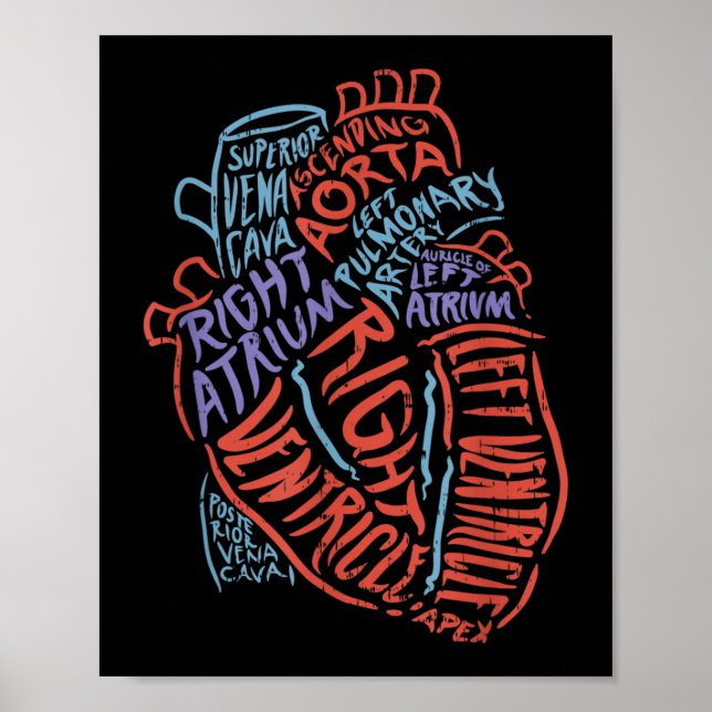 Póster Médica de Anatomía Especializada en el Corazón Bio (Frente)