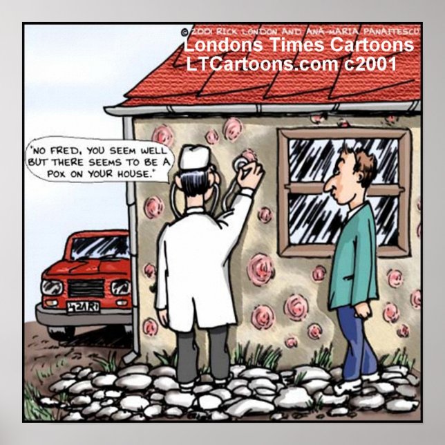 Póster Médica Encuentra A Pox En Un Poster Divertido En C (Frente)