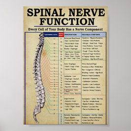 Póster Medicina de época ilustrada