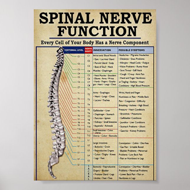 Póster Medicina de época ilustrada (Frente)
