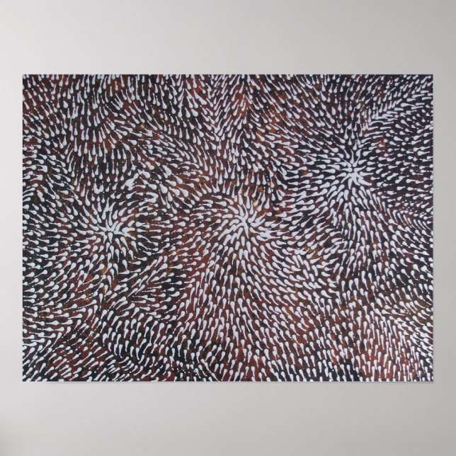 PÓSTER MEDICINA DEL ARRECIFE DE CORAL (Frente)