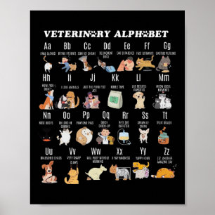 Póster Medicina Veterinaria Alphabet Vet Enfermera Estudi